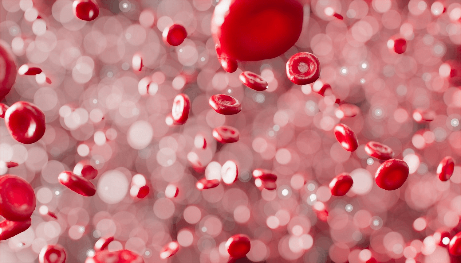 stem cell